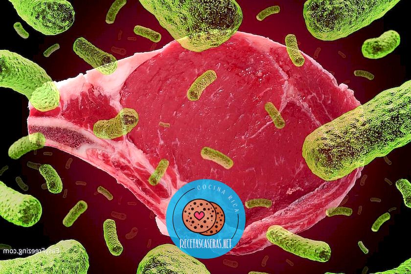 ¿La congelación mata las bacterias? (Carne, Agua, Yogur, y más)